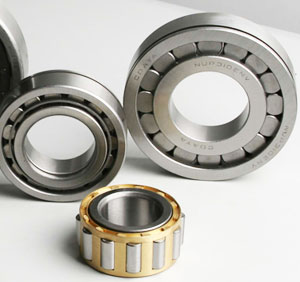 skf�A���L���S��SKFNU1900E��̖��ԃ