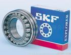 skf�A���L���S��SKFNNCL48..V�aƷ��̖